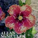 Allan_McMullen.jpg