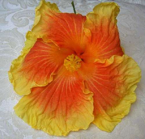 Bali_Sunset FredW.jpg