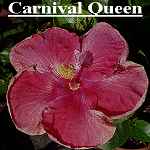 Carnival_Queen.jpg