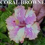 Coral_Browne.jpg
