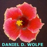 Daniel_D_Wolfe.jpg