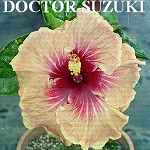 DoctorSuzuki.jpg