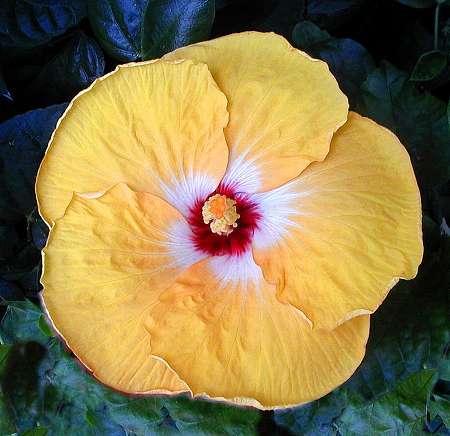 Freddy_Brubaker RJ.jpg