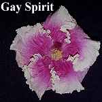 Gay_Spirit.jpg