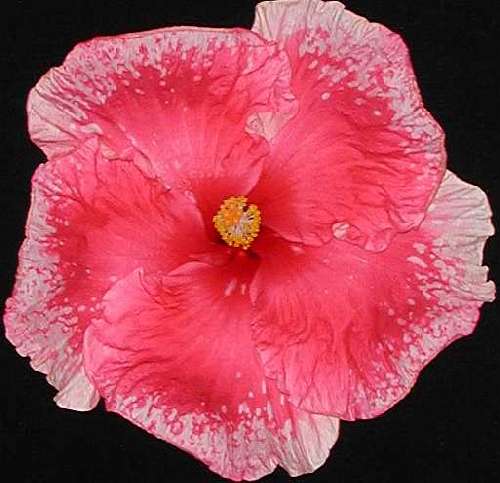 Inspiration FredW.jpg