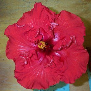 Jackson_Kenneth JohnR-JimP.jpg