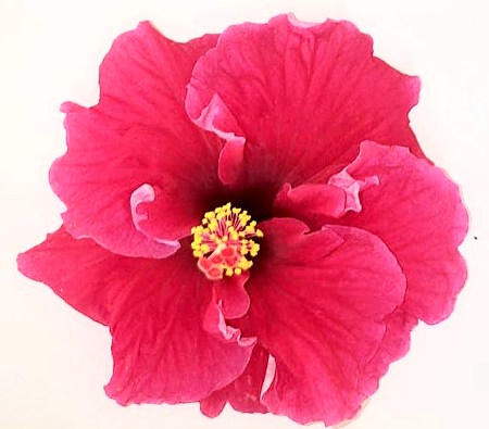 Nathan_Charles BobRS.jpg