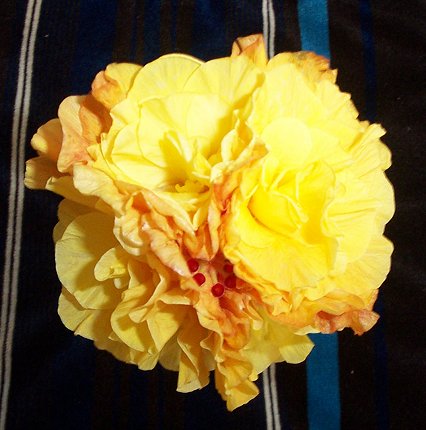 Patricia_Ellen RMan.jpg