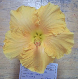 Sweet_Sixteen GC.jpg