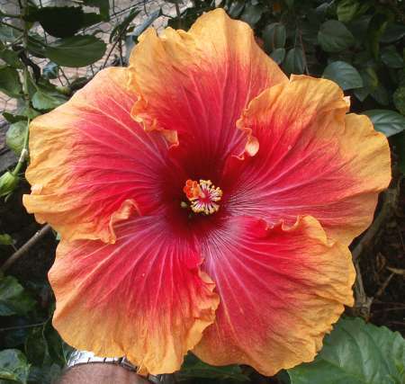 Ten_Thirty_Seven RJ.jpg