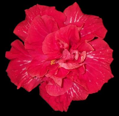 Wait-n-See AllanL.jpg